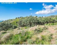 terreno en Venta en Sayalonga. RLJO-T6367