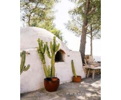 FINCA ES FORN - VALLE MORNA. ZFWA-T14