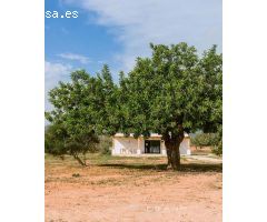 Cas Net ? Sant Jordi. ZFWA-T5
