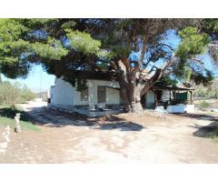 Magnifica Finca de citricos en produccion. LTKB-T130