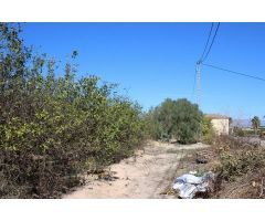 Magnifica Finca de citricos en produccion. LTKB-T130