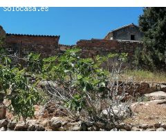 terreno en Venta en El Chorro. FYWY-T120