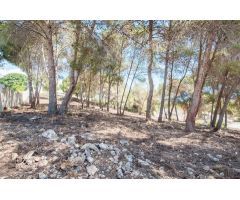 terreno en Venta en Moraira. FTBS-T3573