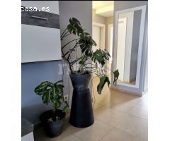 ? ? Apartamento en venta, Los Altos del Roque, Costa Adeje (Fañabe), Tenerife, 2 Dormitorios, 65 m²,