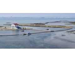 villa en Venta en San Pedro Del Pinatar. ETRV-T395