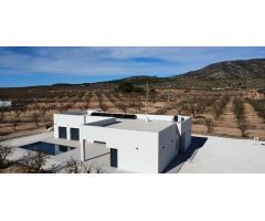 villa en Venta en Pinoso. ETRV-T860