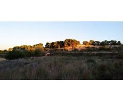 terreno en Venta en Pinar De Campoverde. ETRV-T931
