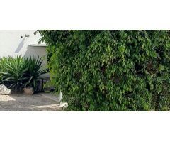 villa en Venta en Macisvenda. ETRV-T1587