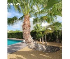 villa en Venta en Rojales. ETRV-T1961
