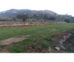 Terreno en venta en Alcalalí. SISK-T248