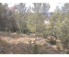 Parcela en venta en Orba. SISK-T252