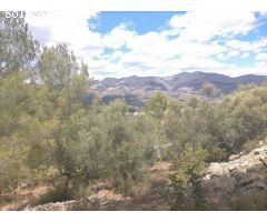Parcela en venta en Orba. SISK-T252