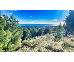 Oportunidad de Inversión: Parcela doble en venta en Altea La Vella. SISK-T273