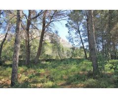 Venta. Parcela en Jávea. SISK-T301