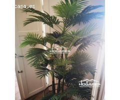 apartamento en Alquilar en Vigo. XZWZ-T201