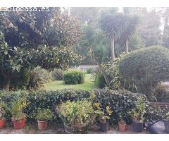 casa en Venta en Vigo. XZWZ-T87