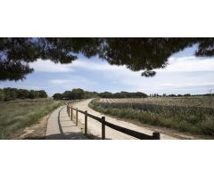 bungalow en Venta en Torrevieja. ETRV-T2806