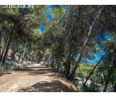 casa unifamiliar en Venta en Marbella. DXUQ-T2599