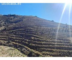 terreno en Venta en Torrox-Costa. RLJO-T6428