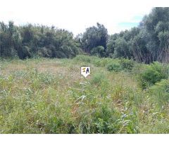 terreno en Venta en Conil De La Frontera. FQFR-T5617