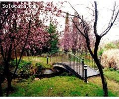 EN VENTA HACIENDA EN TOLEDO. ODVW-T265