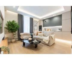 INMUEBLE SITUADO EN EL CORAZÓN DE MADRID. ODVW-T296