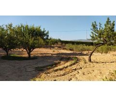 villa en Venta en Monovar - Monover. GHQC-T1