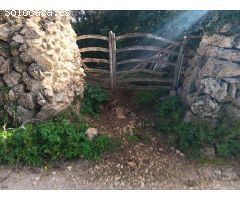 terreno en Venta en Alaior. ODVW-T178