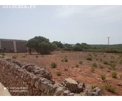 TERRENO URBANiZABLE ALAIOR- MENORCA 75 unidades. ODVW-T187