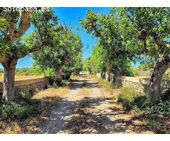 CASA DE CAMPO FINCA RÚSTICA MENORCA, ISLAS BALEARES. ODVW-T214