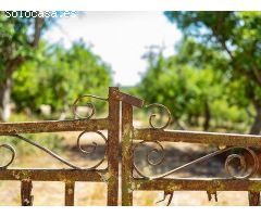 CASA DE CAMPO FINCA RÚSTICA MENORCA, ISLAS BALEARES. ODVW-T214