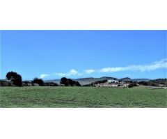CASA DE CAMPO RÚSTICA EN EXPLOTACIÓN, MENORCA, ISLAS BALEARES. ODVW-T239