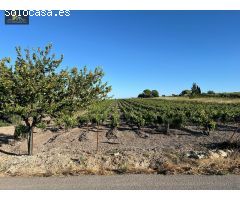 NUEVO TERRENO EN VENTA EN TREBUJENA
